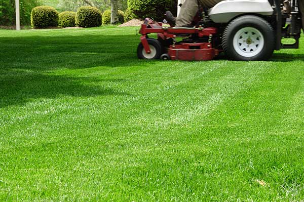 Lawn and Outdoor Maintenance
