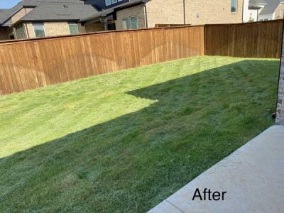 After Lawn Care Service