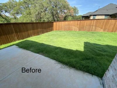 Before Lawn Care