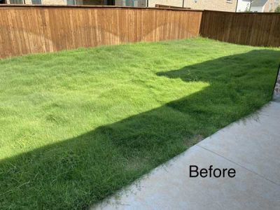 Before Lawn Care Service